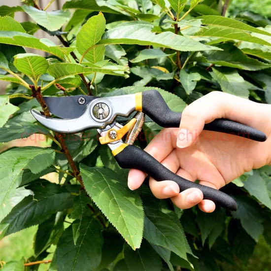 2PCS Pruning Shear Gardening Hand Bypass Secateurs Lopper Shear Set