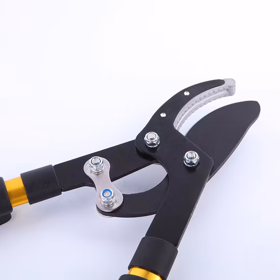 Ferramentas de jardim Tesoura de poda de árvores com cabo longo de plástico